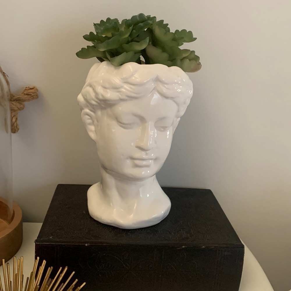 Classic Greek Head Resin Figure Flower Pot Planter Succulent Vase white classic